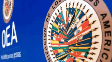 Gobierno niega respaldo a declaración de Grupo de Apoyo LGBTIQ+ de la OEA – Movilh Chile