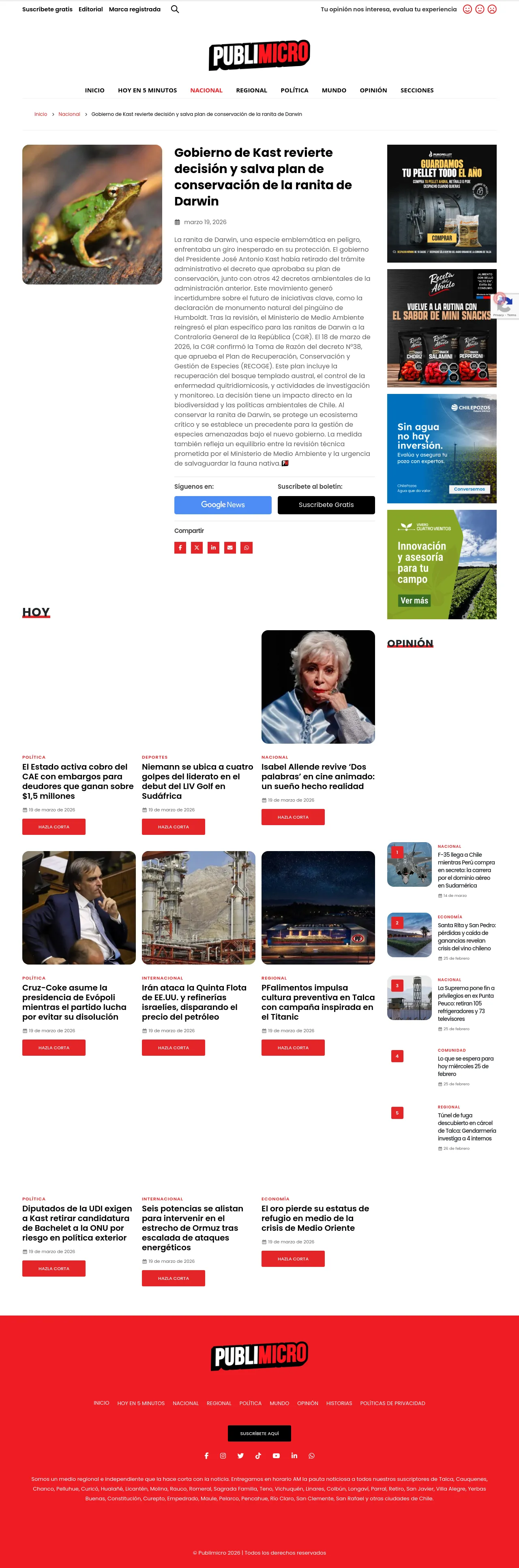 Gobierno de Kast revierte decisión y salva plan de conservación de la ranita de Darwin