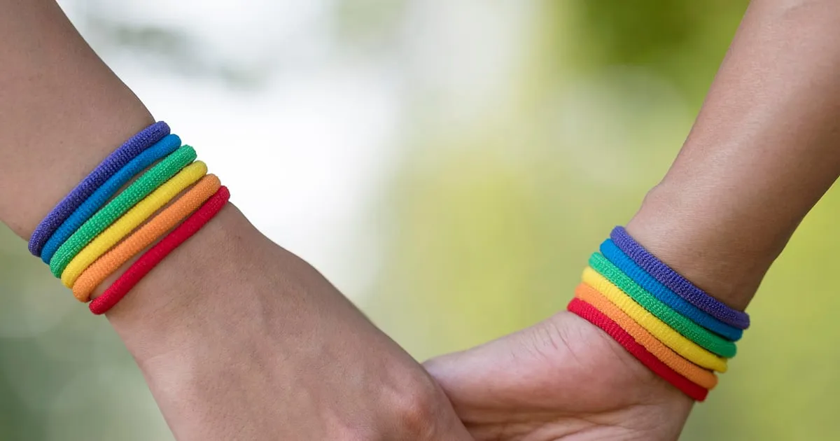 Gobierno no se adhiere a declaración LGBTIQ+ en la OEA y genera críticas por cambio de postura internacional