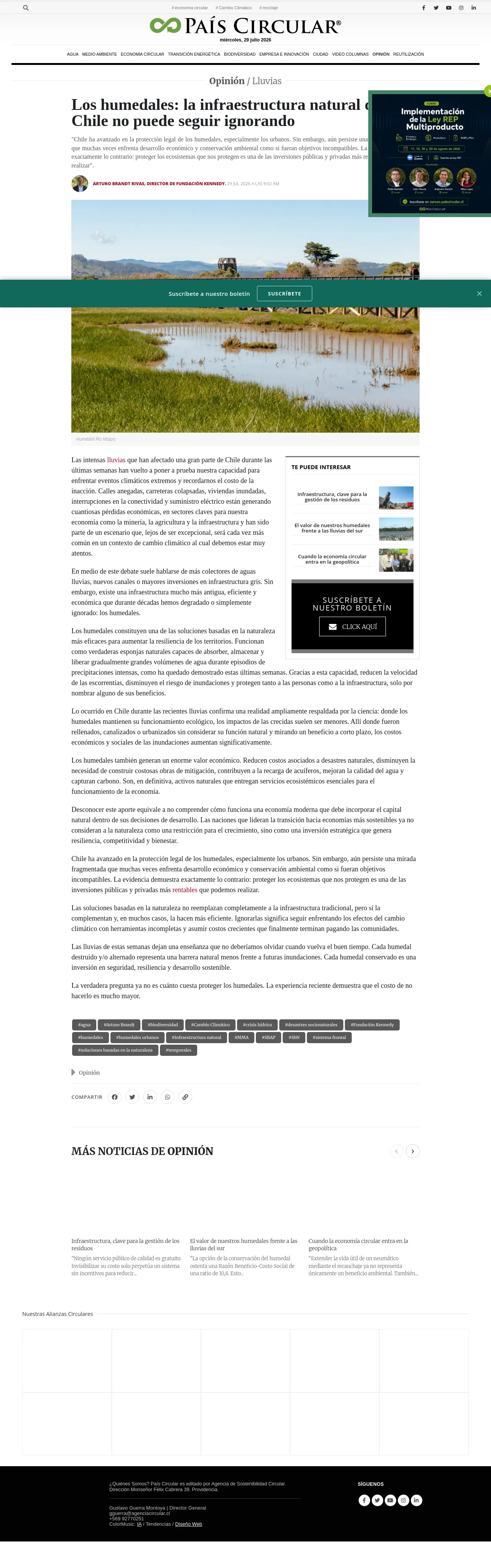Los humedales: la infraestructura natural que Chile no puede seguir ignorando