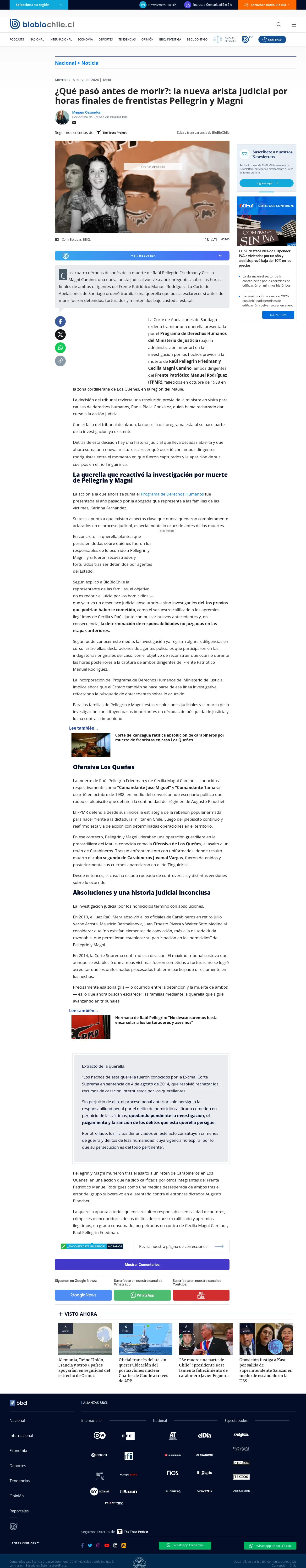 ¿Qué pasó antes de morir?: la nueva arista judicial por horas finales de frentistas Pellegrin y Magni